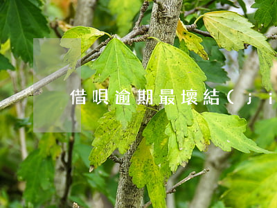 借唄逾期最壞結(jié)果（借唄逾期 負面）
