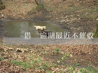 借唄逾期最近不催收