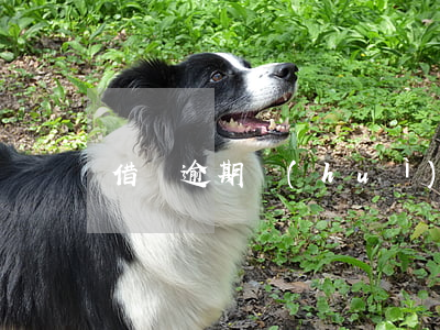 借唄逾期會(huì)上門收債嗎