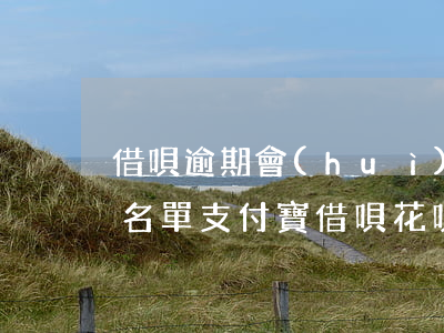 借唄逾期會(huì)不會(huì)上黑名單(支付寶借唄花唄逾期多久會(huì)進(jìn)入黑名單)