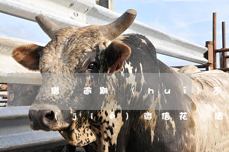 借唄逾期會(huì)不會(huì)凍結(jié)微信(花唄借唄逾期會(huì)凍結(jié)微信余額嗎)