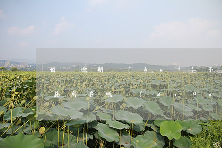 借唄逾期會(huì)不會(huì)去戶籍所在地調(diào)查-借唄逾期會(huì)不會(huì)通知戶籍地