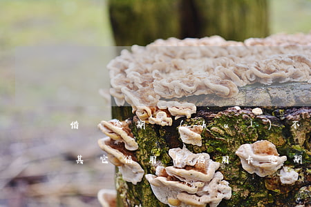 借唄逾期會(huì)不會(huì)影響其它信用卡（信用卡逾期會(huì)影響借唄花唄嗎）