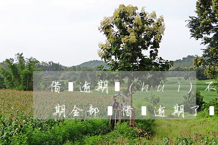 借唄逾期會(huì)不會(huì)讓分期全部還(借唄逾期了會(huì)要求你全額還款嗎)