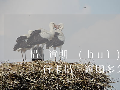 借唄逾期會(huì)凍結(jié)所有銀行卡(借唄逾期多久會(huì)被凍結(jié)所有銀行卡)