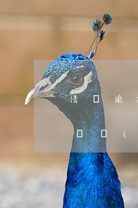 借唄逾期會(huì)去家里么(借唄逾期的話會(huì)不會(huì)給家里人打電話?)