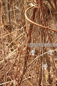 借唄逾期會(huì)影響事業(yè)編嗎(借唄從不逾期會(huì)不會(huì)影響征信)