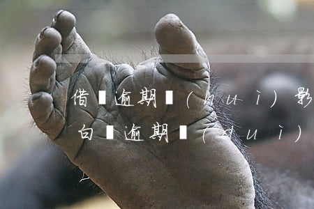 借唄逾期會(huì)影響京東金條嗎(京東白條逾期對(duì)支付寶借唄有影響嗎)