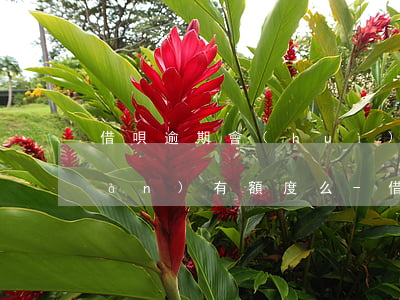 借唄逾期會(huì)影響信用卡現(xiàn)有額度么-借唄逾期會(huì)影響信用卡現(xiàn)有額度么嗎