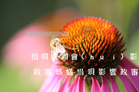 借唄逾期會(huì)影響公務(wù)員政審(螞蟻借唄影響政審嗎公務(wù)員吧)