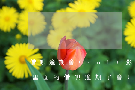 借唄逾期會(huì)影響螞蟻金服(支付寶里面的借唄逾期了會(huì)有什么影響)