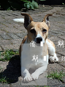 借唄逾期會(huì)扣解綁的卡嗎(借唄逾期會(huì)凍結(jié)銀行卡?)