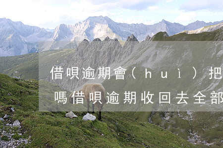 借唄逾期會(huì)把所有的欠款都收回嗎(借唄逾期收回去全部額度)