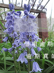 借唄逾期會(huì)有派出所上門嗎(借唄逾期真的會(huì)上門嗎)