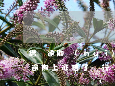 借唄逾期會(huì)立刻上征信嗎(借唄有逾期上征信了銀行會(huì)給貸款嗎)