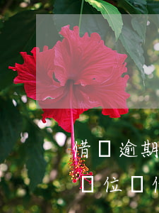 借唄逾期會(huì)聯(lián)系到單位嗎(借唄逾期幾天會(huì)有電話)