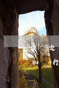 借唄逾期會(huì)自動(dòng)劃扣銀行卡(借唄逾期以后會(huì)自動(dòng)扣款嗎)