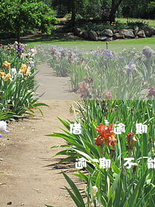 借唄逾期會(huì)被限制坐高鐵嗎(借唄逾期不能坐飛機(jī)和高鐵)