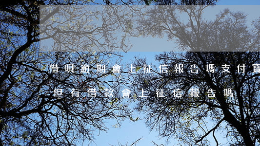 借唄逾期會上征信報告嗎(支付寶借唄沒逾期但有借款會上征信報告嗎)