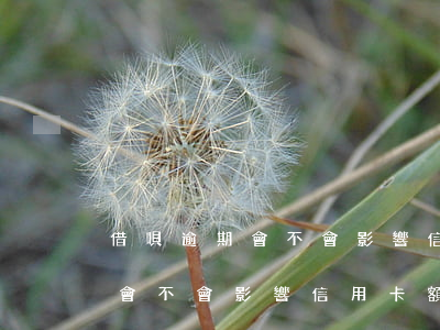 借唄逾期會不會影響信用卡額度-借唄逾期會不會影響信用卡額度使用