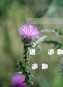 借唄逾期會凍結(jié)支付寶嗎-借唄逾期會凍結(jié)支付寶嗎