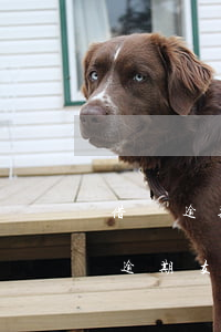 借唄逾期會凍結(jié)支付寶 花唄借唄逾期支付寶賬號被凍結(jié)怎么辦
