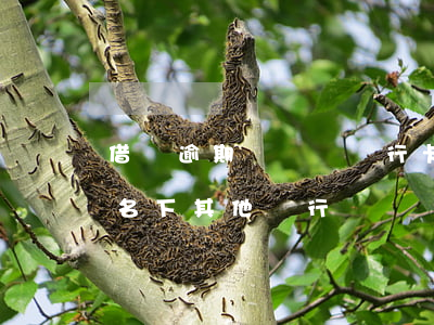 借唄逾期會凍結銀行卡嗎(借唄逾期會被凍結名下其他銀行賬戶嗎)