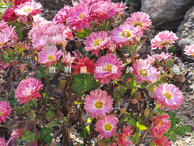 借唄逾期會外訪么嗎-借唄逾期會走訪嘛