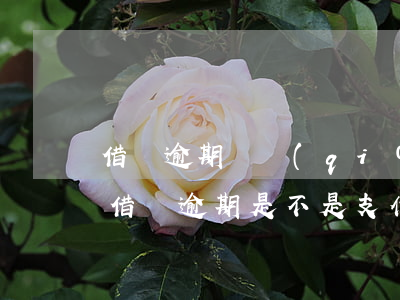 借唄逾期會強(qiáng)扣支付寶的錢(借唄逾期是不是支付寶一有錢就自己扣)