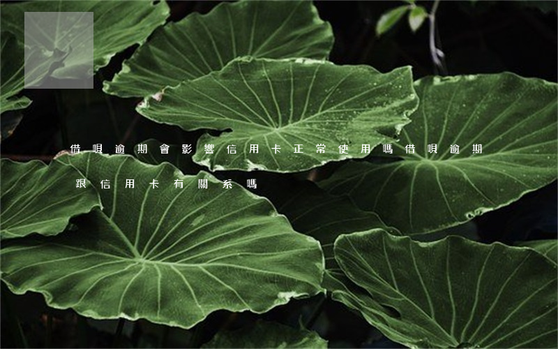 借唄逾期會影響信用卡正常使用嗎(借唄逾期跟信用卡有關系嗎)