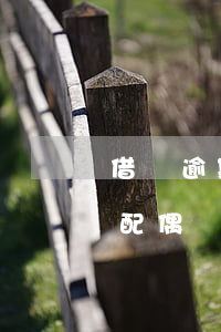 借唄逾期會影響到配偶嗎(借唄款沒還清影響配偶貸款嗎)
