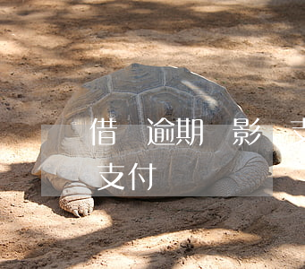 借唄逾期會影響支付寶嗎-借唄逾期會影響支付寶嗎?