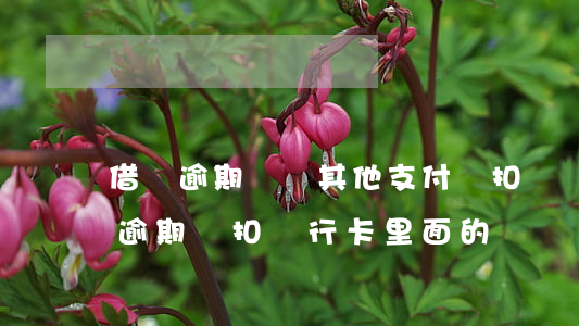 借唄逾期會從其他支付寶扣錢嗎(支付寶借唄逾期會扣銀行卡里面的錢嗎)