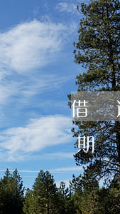 借唄逾期會從沒綁定銀行卡上扣嗎-借唄逾期會從沒綁定銀行卡上扣嗎安全嗎
