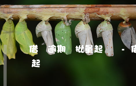 借唄逾期會批量起訴嗎-借唄逾期好久會被起訴