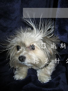 借唄逾期會收到什么短信(支付寶借唄逾期短信是什么樣式)