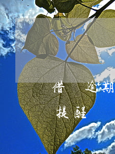 借唄逾期會有短信提示嗎(借唄還款會有短信提醒嗎)