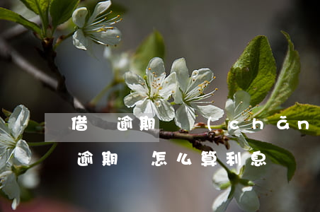 借唄逾期會產(chǎn)生什么費用(借唄逾期會怎么算利息)