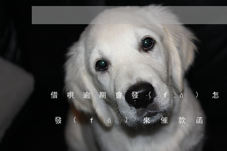借唄逾期會發(fā)怎樣的短信(借唄逾期發(fā)來催款函)