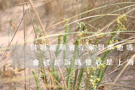 借唄逾期會立案到本地嗎(借唄逾期一年多了會被起訴嗎,催收是上海打來的)