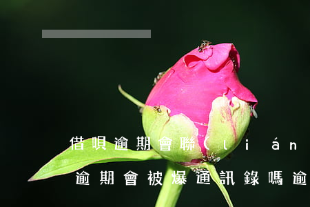 借唄逾期會聯(lián)系通訊錄嗎(借唄逾期會被爆通訊錄嗎?逾期后果介紹)