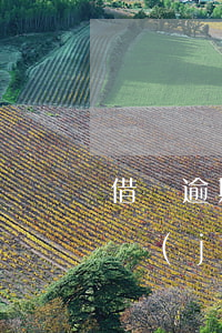 借唄逾期會被列為失信人嗎(借唄顯示逾期,已經(jīng)影響征信了嗎?)