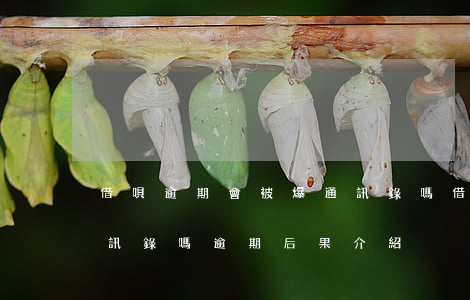 借唄逾期會被爆通訊錄嗎(借唄逾期會被爆通訊錄嗎?逾期后果介紹)