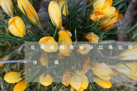 借唄逾期會被訴訟嗎（借唄逾期被起訴會連累伴侶嗎）