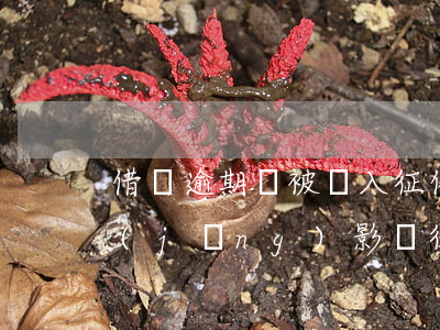 借唄逾期會被錄入征信嗎(借唄顯示逾期,已經(jīng)影響征信了嗎?)