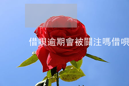 借唄逾期會被關注嗎 借唄逾期會關掉嗎