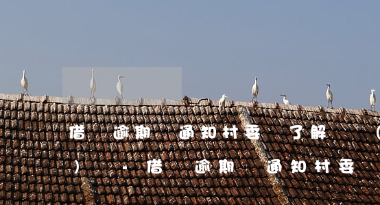 借唄逾期會通知村委會了解資產(chǎn)嗎-借唄逾期會通知村委會了解資產(chǎn)嗎知乎