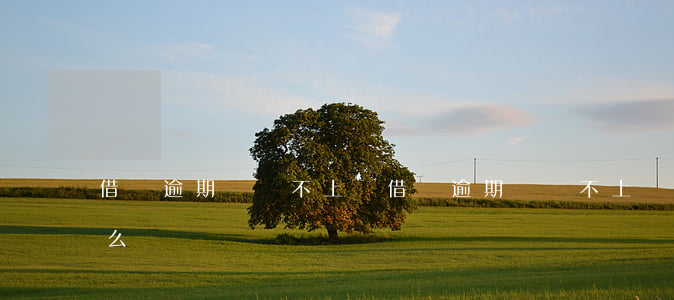 借唄逾期會還不上嗎(借唄逾期會還不上嗎怎么辦)
