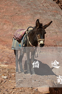 借唄逾期會郵寄到村委會嗎怎么辦（借唄逾期會郵寄到村委會嗎）