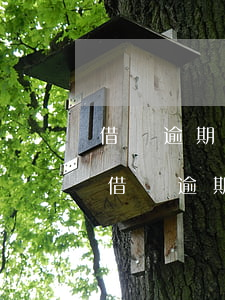 借唄逾期有協(xié)商成功的沒(支付寶借唄逾期不給協(xié)商)